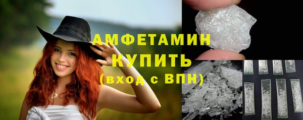 амф Каменногорск