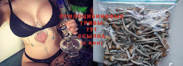метамфетамин Каменка